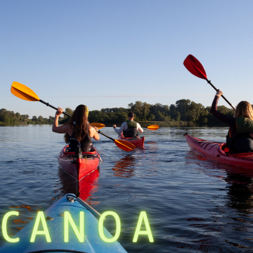 CANOA WSA